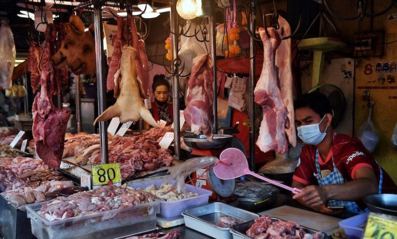 الهند تسمح باستيراد لحم الخنزير الأمريكي