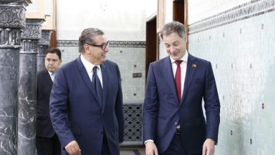 بلجيكا تشيد بإصلاحات المغرب تحت قيادة جلالة الملك